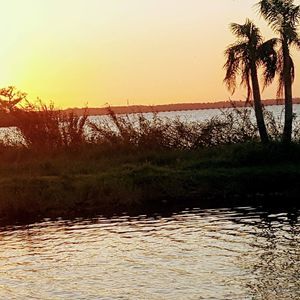 Meet your Posher, Ana